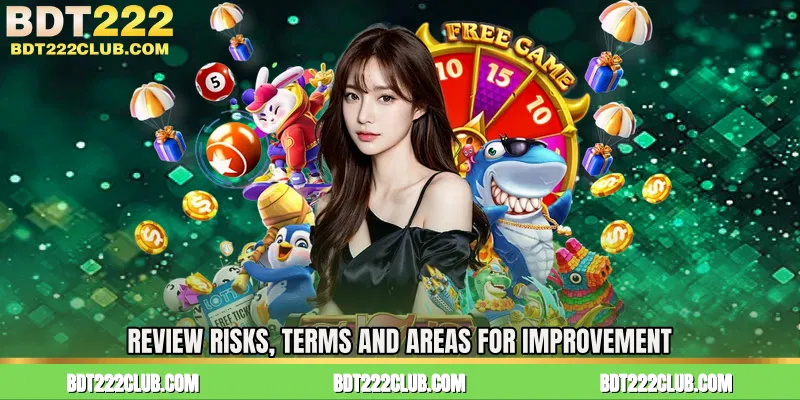 Review Risks, Terms and Areas for Improvement